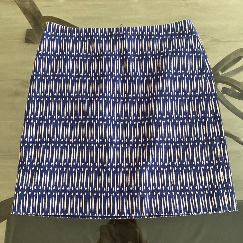 Ann Taylor Skirt